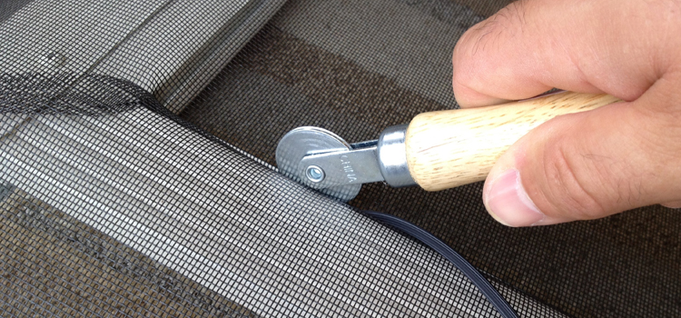 metal screen door repair in Oasis